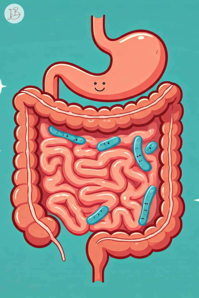 digestive system