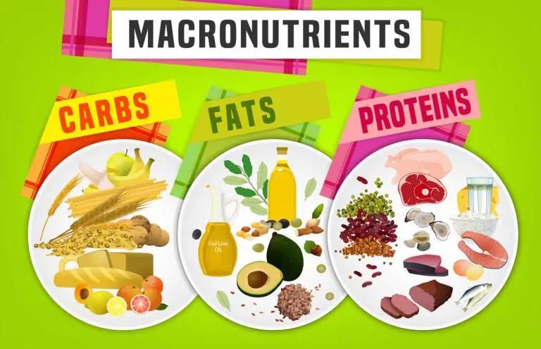 What are Macros. How to calculate them?